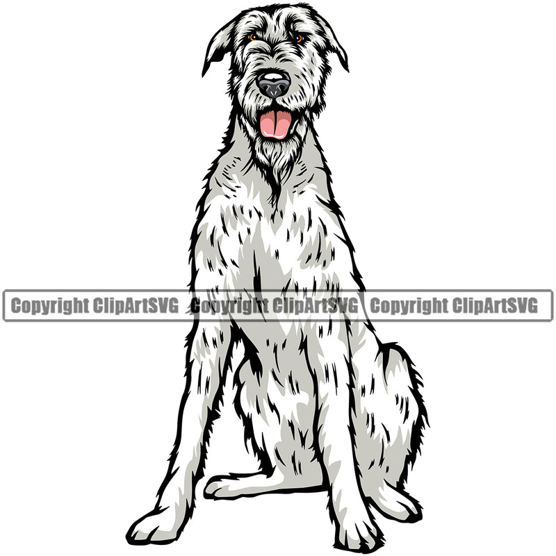 Irish Wolfhound Dog Sitting Design Canine K-9 K9 Animal Portrait Doggy Face Vector Puppy Pup Head Purebred Pedigree Clipart SVG