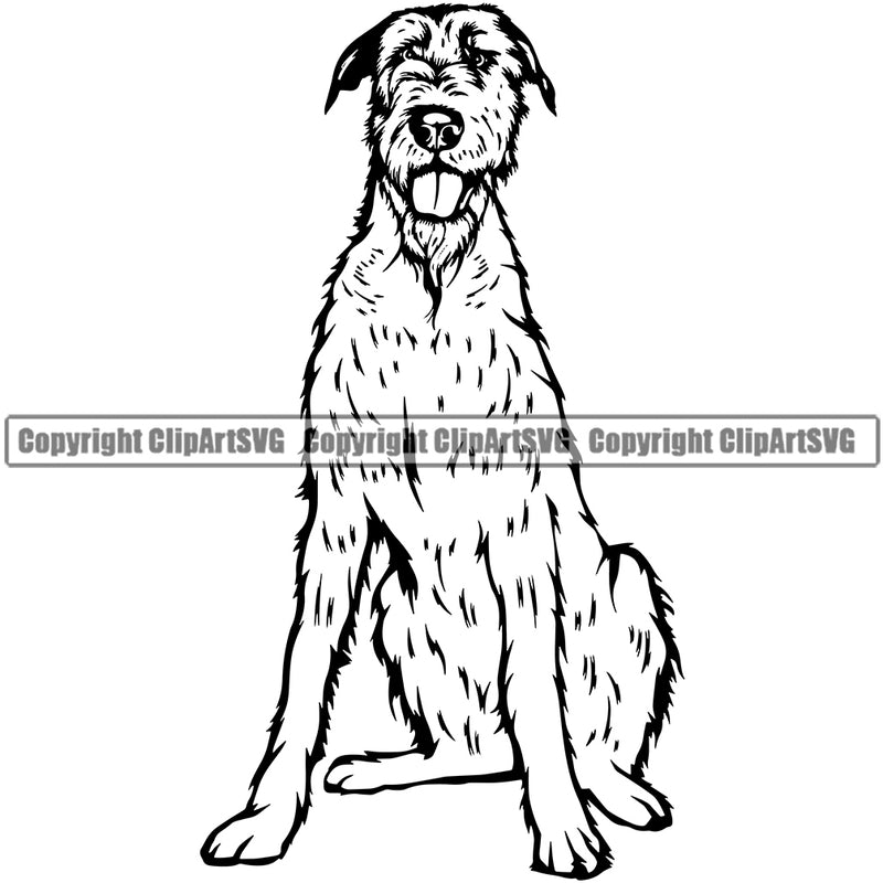 Irish Wolfhound Dog Sitting Canine K-9 K9 Animal Portrait Doggy Face Vector Head Purebred Pedigree Clipart SVG
