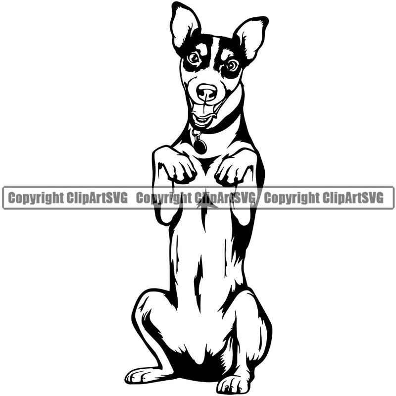 Jack Russell Terrier Dog Begging Design Puppy Pup Body Purebred Pedigree Animal Portrait Doggy Face Cute Canine Clipart SVG