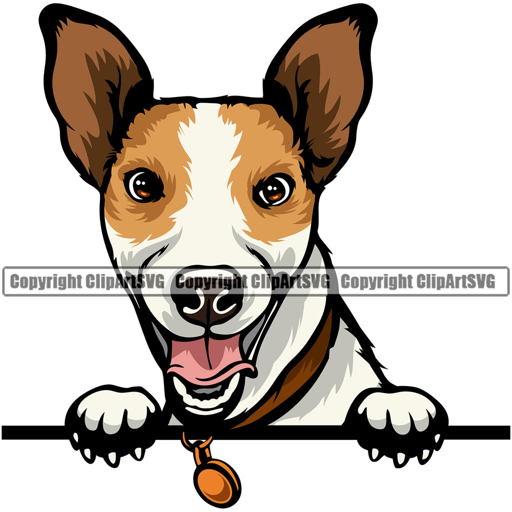 Jack Russell Terrier Dog Peeking Design Canine K-9 K9 Animal Portrait Doggy Face Cute Vector Head Purebred Pedigree Clipart SVG