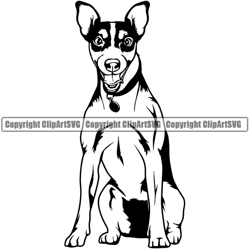 Jack Russell Terrier Dog Sitting Design Canine K9 Animal Portrait Doggy Face Cute Vector Purebred Pedigree Body Clipart SVG