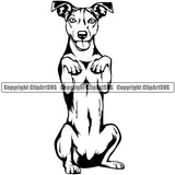 Jack Russell Terrier Dog Begging Puppy Pup Purebred Pedigree Body Animal Portrait Doggy Face Cute Vector Canine Clipart SVG