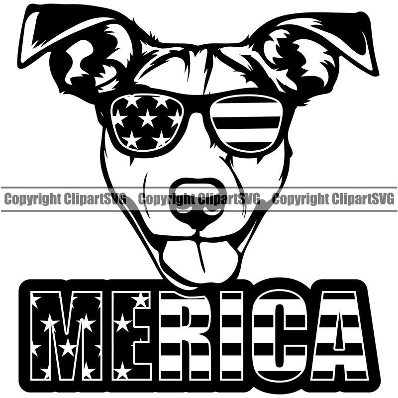 Jack Russell Terrier Dog Wearing Sunglasses Merica Text Canine K-9 K9 Animal Portrait Doggy Face Vector Purebred Pedigree Head Clipart SVG