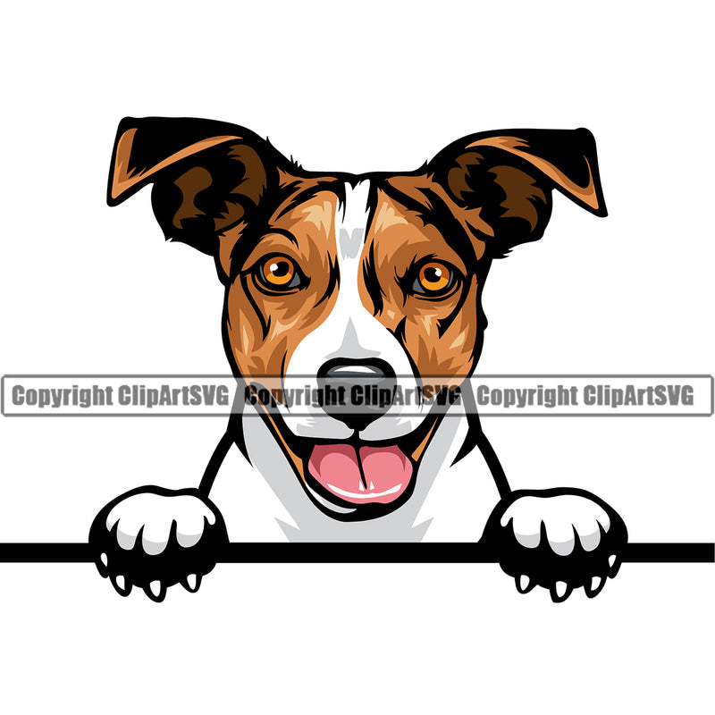 Jack Russell Terrier Dog Peeking Design Head Color Puppy Purebred Pup Pedigree Vector K9 Animal Portrait Doggy Face Cute Clipart SVG