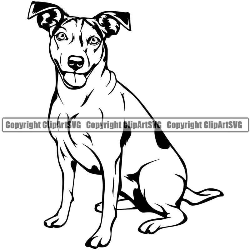 Jack Russell Terrier Dog Sitting Smiling Face Animal Puppy Head Purebred Pup Pedigree Vector Portrait Doggy Face Cute Clipart SVG