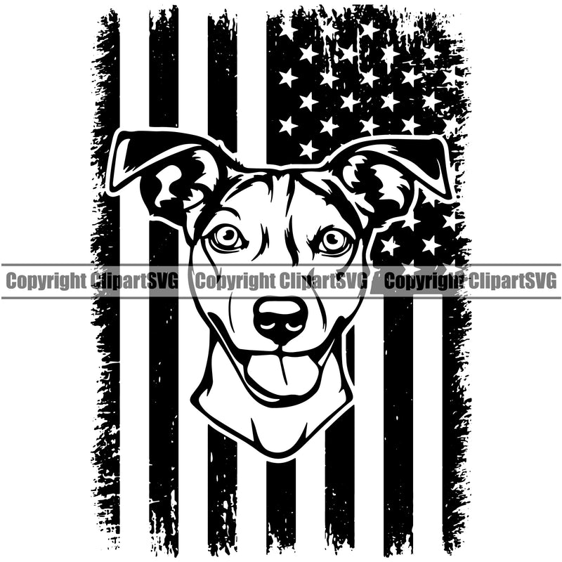 Jack Russell Terrier Dog USA Flag Design Puppy Head Purebred Pup Pedigree Vector K9 Animal Portrait Doggy Face Cute Clipart SVG