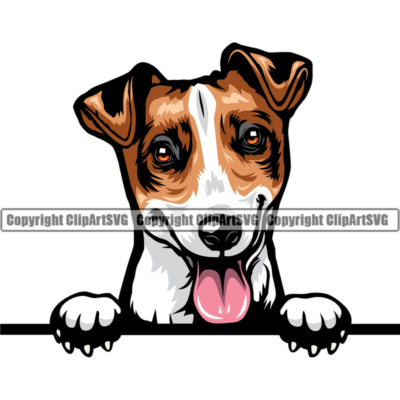 Jack Russell Terrier Dog Peeking Smiling Face Design Puppy Head Purebred Pup Pedigree Vector K9 Animal Portrait Doggy Clipart SVG