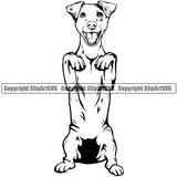 Jack Russell Terrier Dog Begging K9 Animal Portrait Doggy Face Cute Design Puppy Head Purebred Pup Pedigree  Clipart SVG