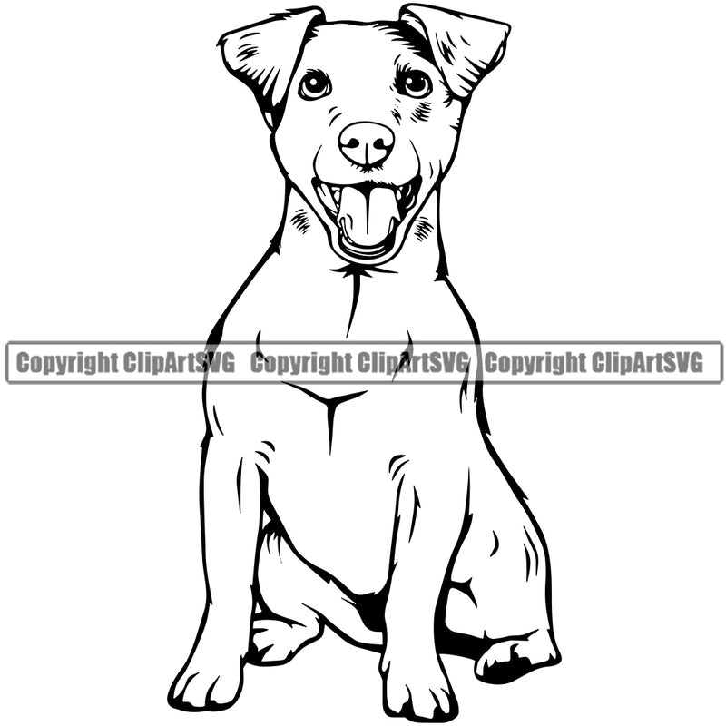 Jack Russell Terrier Dog Portrait Doggy Face Cute Animal Head Purebred Pup Pedigree Vector Canine Clipart SVG