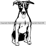 Jack Russell Terrier Dog Sitting Design Puppy Head Purebred Pup Pedigree Vector K9 Animal Portrait Doggy Face Cute Clipart SVG