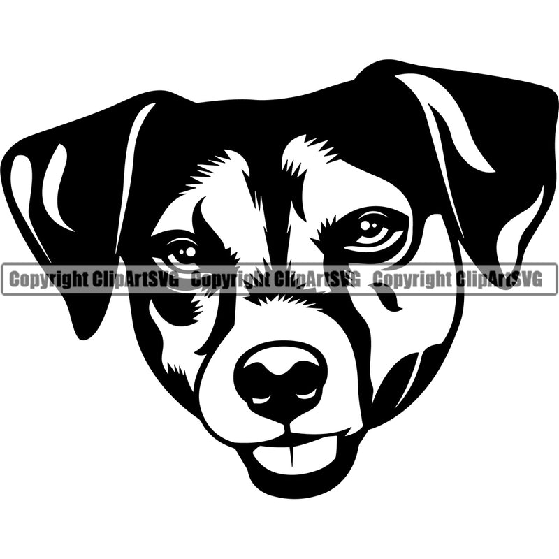 Jack Russell Terrier Dog Head Design Puppy Pup Head Purebred Pedigree Vector K9 Animal Portrait Doggy Canine Clipart SVG