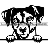 Jack Russell Terrier Dog Peeking Canine K-9 K9 Animal Portrait Doggy Face Cute Vector Puppy Pup Head Purebred Clipart SVG