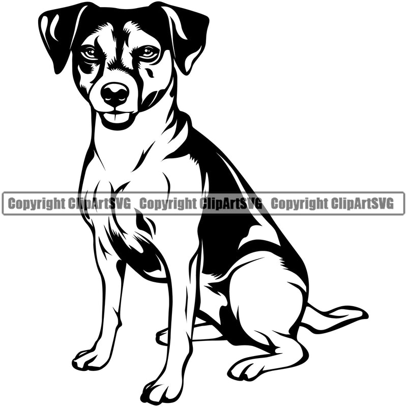 Jack Russell Terrier Dog Side Sitting Design Puppy Pup Head Purebred Pedigree Vector Canine K-9 K9 Animal Doggy Clipart SVG