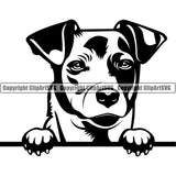 Jack Russell Terrier Dog Peeking Head Design Doggy Puppy Face Cute Vector Portrait Head Purebred Pedigree Clipart SVG