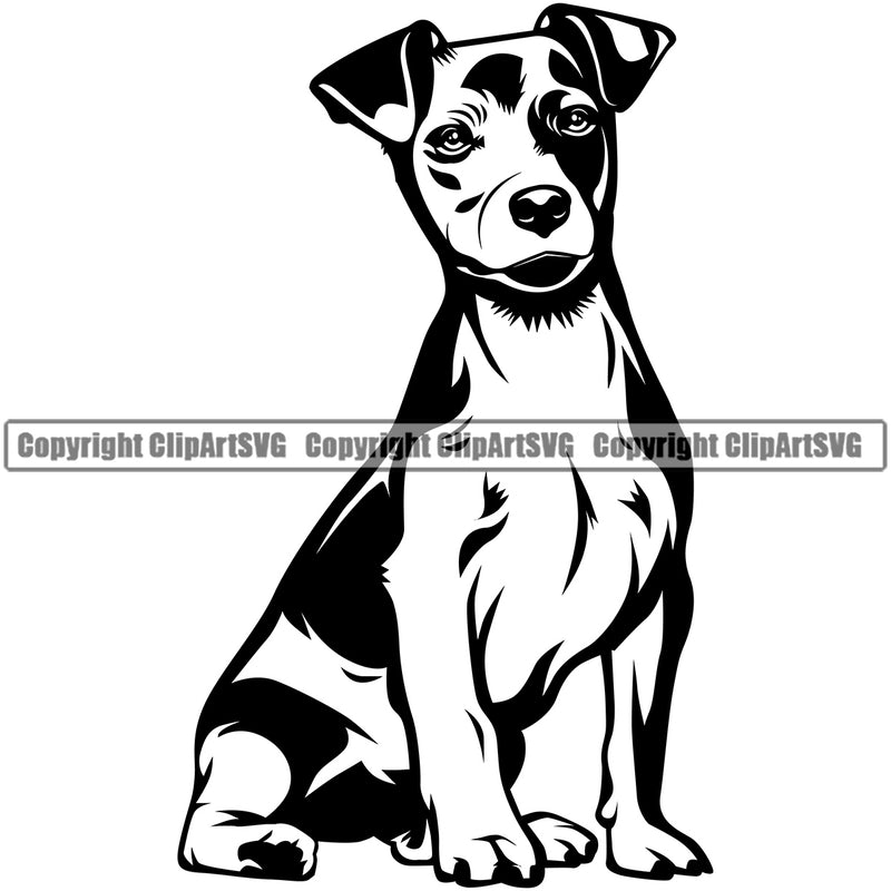 Jack Russell Terrier Dog Sitting Design Doggy Smiling Face Puppy Pup Head Purebred Pedigree Vector K9 Portrait Doggy Face Cute Clipart SVG