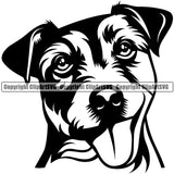 Jack Russell Terrier Dog Smiling Face K9 Animal Portrait Doggy Face Cute Design Puppy Pup Head Purebred Pedigree Vector Clipart SVG