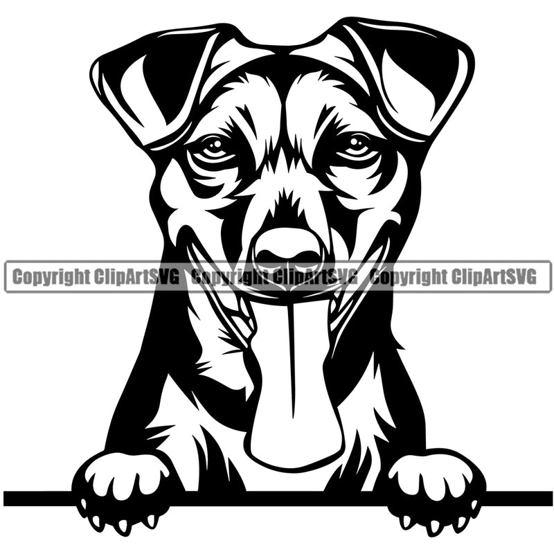 Jack Russell Terrier Dog Peeking Smiling Face Design Portrait Doggy Face Cute Animal Puppy Pup Head Purebred Pedigree Clipart SVG