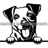 Jack Russell Terrier Dog Peeking Puppy Pup Head Purebred Pedigree Vector K9 Animal Portrait Doggy Face Clipart SVG