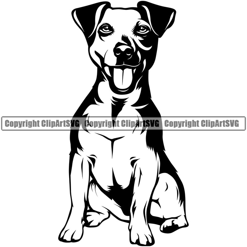 Jack Russell Terrier Dog Sitting Dog Smiling Face Canine K-9 K9 Animal Portrait Doggy Body Puppy Pup Head Purebred Pedigree Clipart SVG