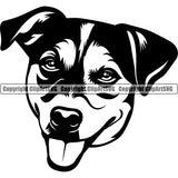 Jack Russell Terrier Dog Head Canine K-9 K9 Animal Portrait Doggy Face Cute Vector Puppy Pup Head Purebred Pedigree Clipart SVG