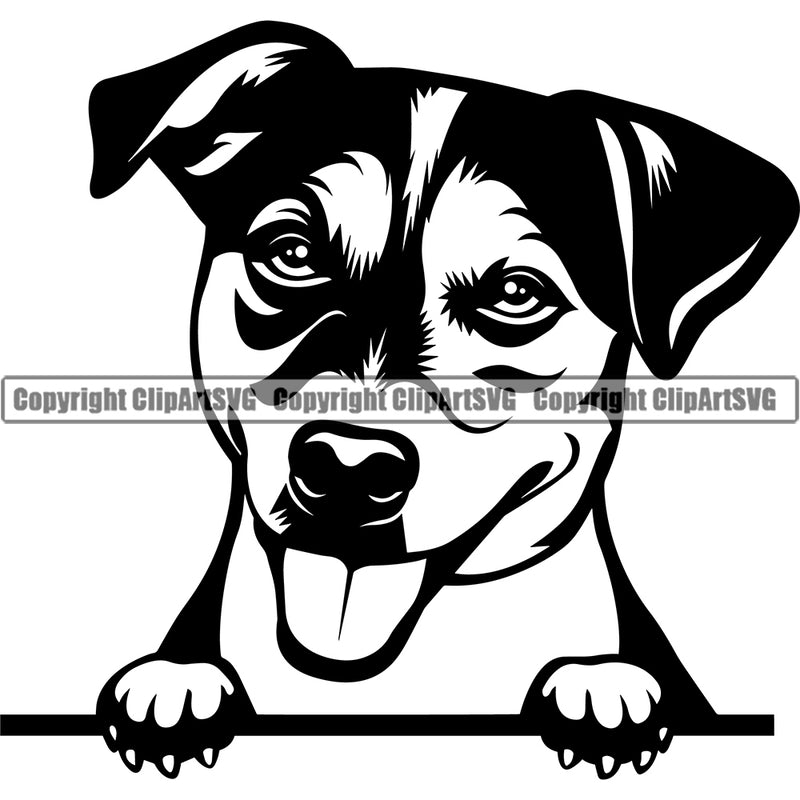 Jack Russell Terrier Dog Peeking Smiling Face Puppy Pup Head Purebred Pedigree Vector  K9 Animal Portrait Doggy Clipart SVG