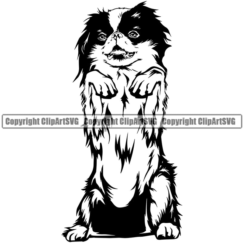 Japanese Chin Dog Begging Design K9 Animal Portrait Doggy Face Cute Vector Puppy Pup Head Purebred Canine Clipart SVG