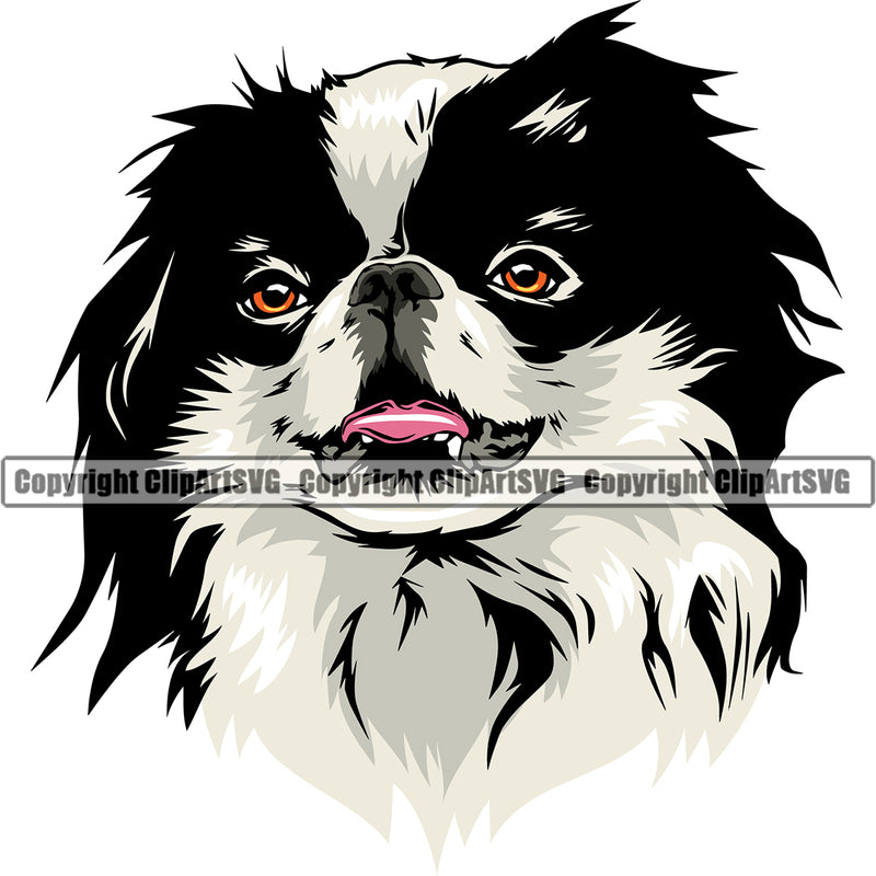 Japanese Chin Dog Head Color Design Canine K-9 K9 Animal Portrait Doggy Cute Face Purebred Pedigree Puppy Clipart SVG
