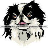 Japanese Chin Dog Head Color Design Canine K-9 K9 Animal Portrait Doggy Cute Face Purebred Pedigree Puppy Clipart SVG