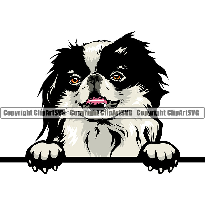 Japanese Chin Dog Peeking Head Color Design Canine K-9 K9 Animal Portrait Doggy Face Cute Vector Puppy Pup Head Clipart SVG