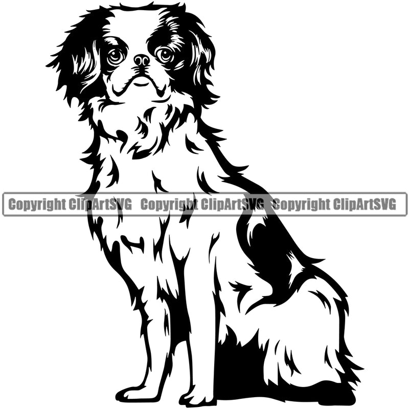 Japanese Chin Dog Sitting Design Puppy Pup Head Purebred Pedigree Vector Canine K-9 K9 Animal Portrait Doggy Clipart SVG