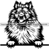 Keeshond Dog Peeking Head Design Cute Animal Face Puppy Pup Purebred Pedigree Vector Canine K-9 K9 Animal Clipart SVG