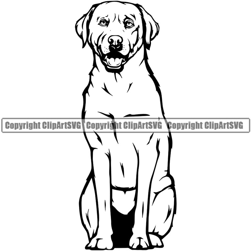 Labrador Retriever Dog Sitting K9 Animal Portrait Doggy Face Cute Vector Puppy Pup Head Purebred Pedigree Design Canine Clipart SVG