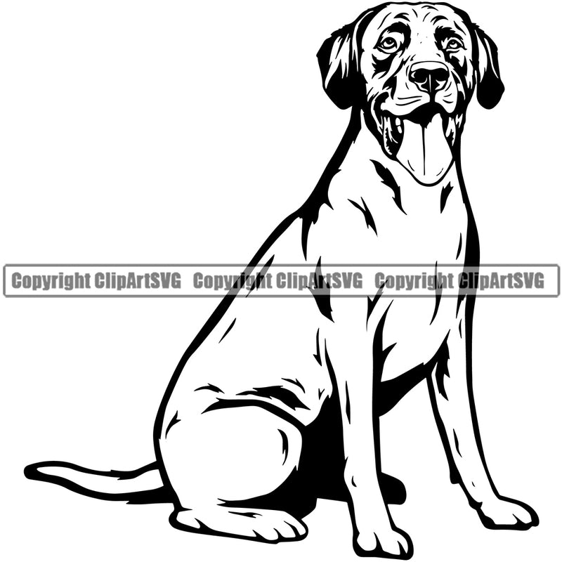 Labrador Retriever Dog Sitting Animal Body Design Cute Face Doggy Canine K-9 K9 Portrait Puppy Pup Head Purebred Pedigree Clipart SVG