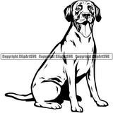 Labrador Retriever Dog Sitting Animal Body Design Cute Face Doggy Canine K-9 K9 Portrait Puppy Pup Head Purebred Pedigree Clipart SVG