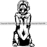 Labradoodle Dog Begging Puppy Pup Head Purebred Pedigree Vector Canine K-9 K9 Animal Portrait Doggy Face Cute Clipart SVG