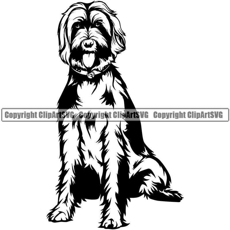 Labradoodle Dog Sitting Canine K-9 K9 Animal Doggy Face Cute Vector Portrait Puppy Purebred Pedigree Vector Clipart SVG