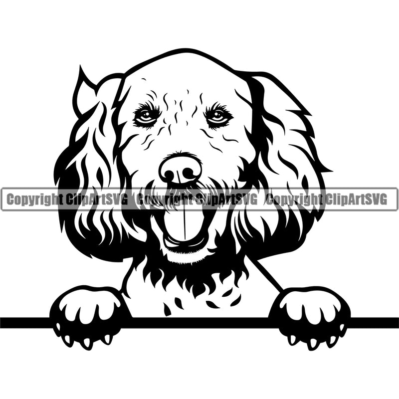 Labradoodle Dog Peeking Design Element Puppy Pup Head Purebred Pedigree Canine K-9 K9 Animal Portrait Doggy Face Cute Vector Clipart SVG