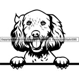 Labradoodle Dog Peeking Design Element Puppy Pup Head Purebred Pedigree Canine K-9 K9 Animal Portrait Doggy Face Cute Vector Clipart SVG