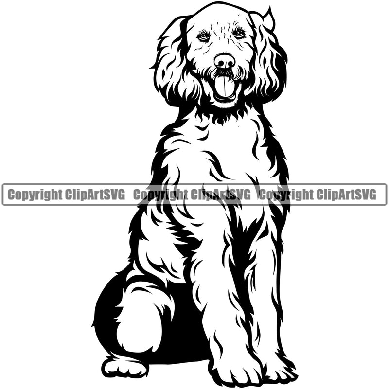 Labradoodle Dog Sitting Design Element Puppy Pup Head Purebred Pedigree  Canine K-9 K9 Animal Vector Doggy Face Cute Clipart SVG