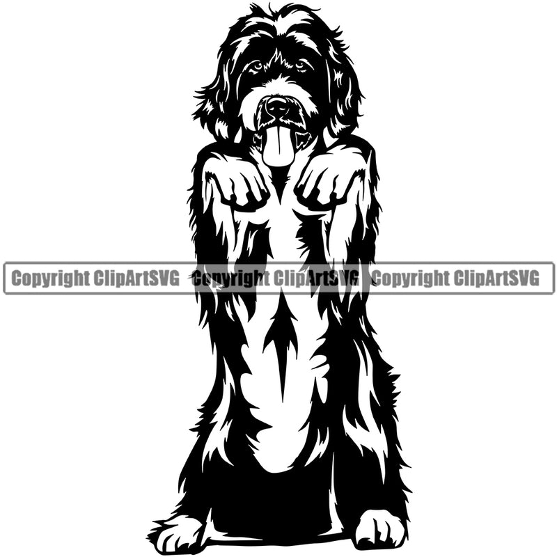 Labradoodle Dog Begging Cute Face Doggy Animal Puppy Pup Head Purebred Pedigree Design Canine K-9 K9 Animal Portrait Clipart SVG