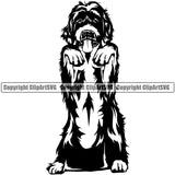 Labradoodle Dog Begging Cute Face Doggy Animal Puppy Pup Head Purebred Pedigree Design Canine K-9 K9 Animal Portrait Clipart SVG