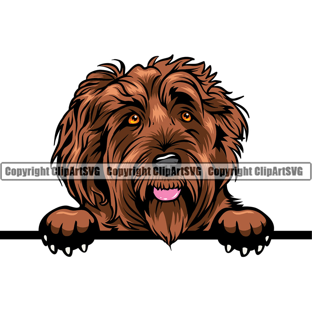 Labradoodle Dog Peeking Head Color Puppy Pup Head Purebred Pedigree Design Canine K-9 K9 Animal Portrait Doggy Face Clipart SVG