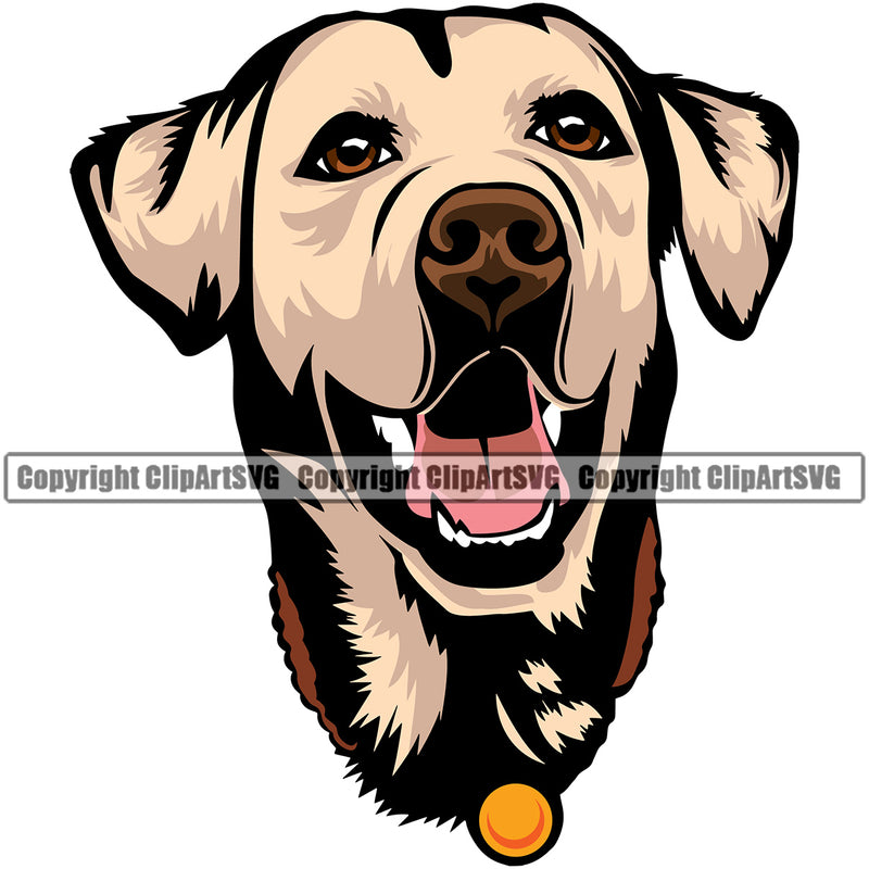 Labrador Dog Color Head Design Color Face Puppy Pup Head Purebred Pedigree Vector K9 Animal Portrait Doggy Face Cute Clipart SVG