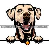 Labrador Dog Color Head Smiling Happy Face Vector K9 Animal Portrait Doggy Face Cute Design Puppy Head Purebred Clipart SVG