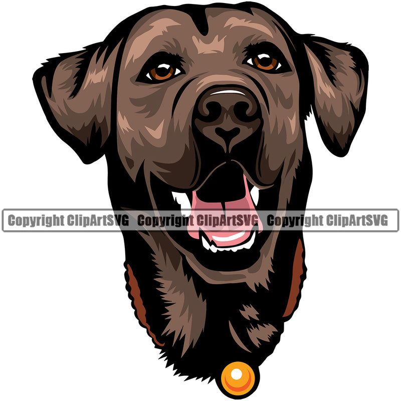 Labrador Dog Brown Color Head Design Canine K9 Animal Portrait Doggy Face Cute Vector Puppy Pup Head Purebred Pedigree Clipart SVG