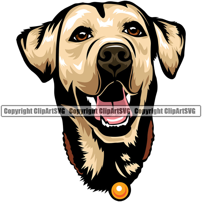 Labrador Dog Head Yellow Color Doggy Face Color K9 Animal Portrait Doggy Face Cute Canine Purebred Pedigree Clipart SVG