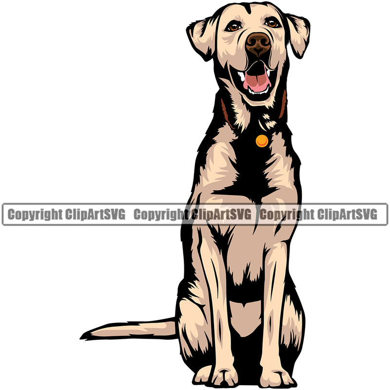 Labrador Dog Sitting Color Body Design Canine K-9 K9 Animal Portrait Doggy Face Cute Vector Purebred Pedigree Clipart SVG