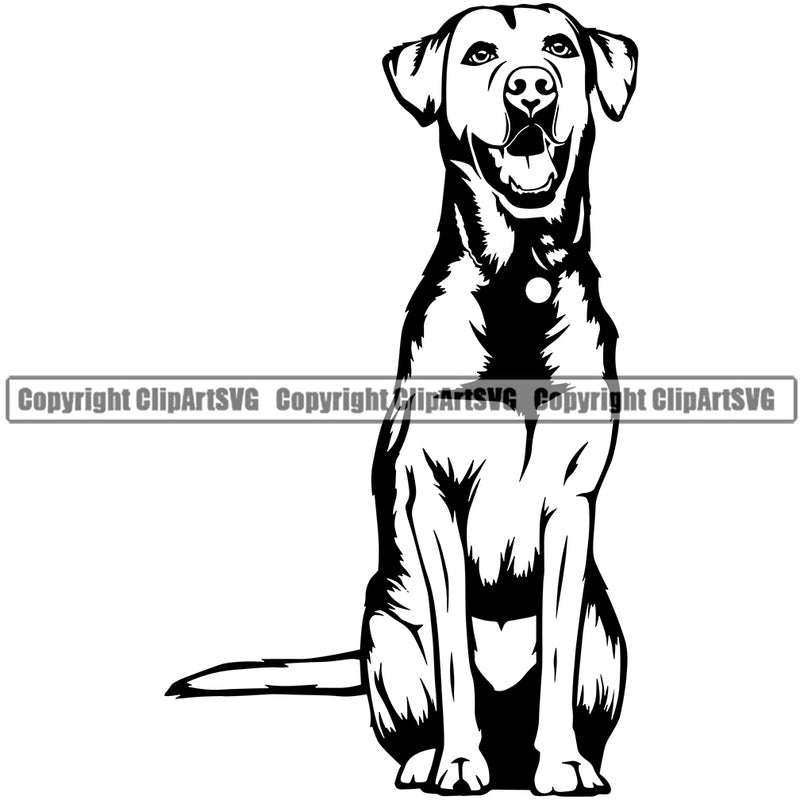 Labrador Dog Sitting Happy Face Cute Doggy Body Puppy Pup Purebred Pedigree Design K9 Animal Portrait Clipart SVG