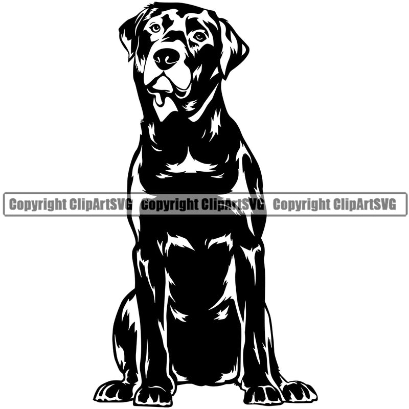 Labrador Dog Sitting Black Color Body Design Canine K9 Animal Portrait Doggy Face Cute Puppy Pedigree Clipart SVG