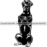 Labrador Dog Begging Body Black Color Design Puppy Pup Head Purebred Pedigree Vector Animal Portrait Doggy Face Cute Clipart SVG
